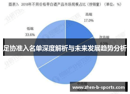 足协准入名单深度解析与未来发展趋势分析