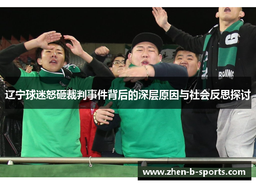 辽宁球迷怒砸裁判事件背后的深层原因与社会反思探讨 辽宁球迷怒砸裁判事件背后的深层原因与社会反思探讨