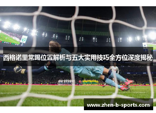 西格诺里常踢位置解析与五大实用技巧全方位深度揭秘
