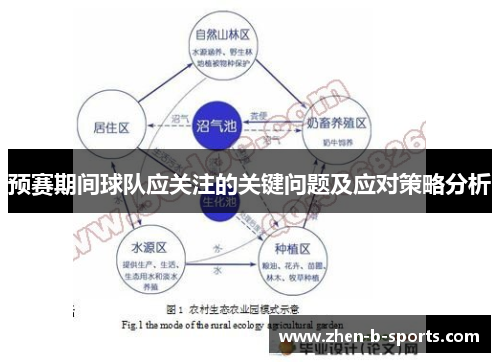 预赛期间球队应关注的关键问题及应对策略分析