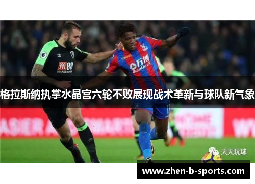 格拉斯纳执掌水晶宫六轮不败展现战术革新与球队新气象